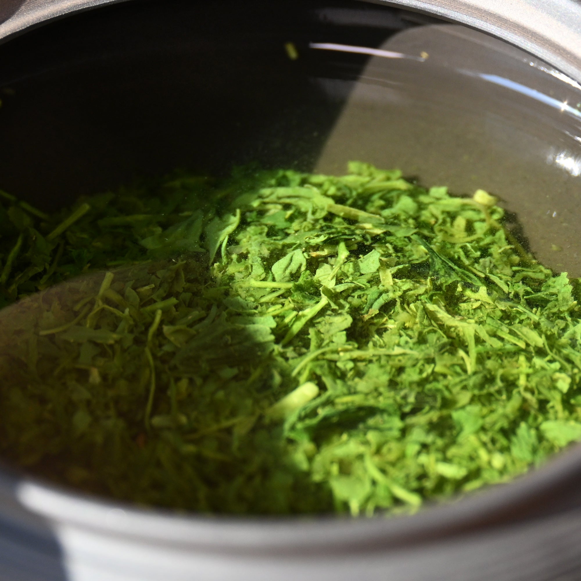 Premium Sencha - For the Wanderer